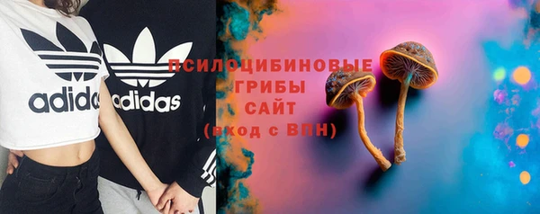 PSILOCYBIN Богородск