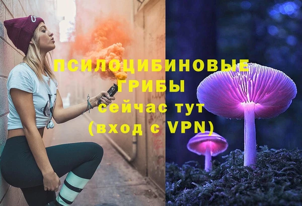 марки lsd Богородицк