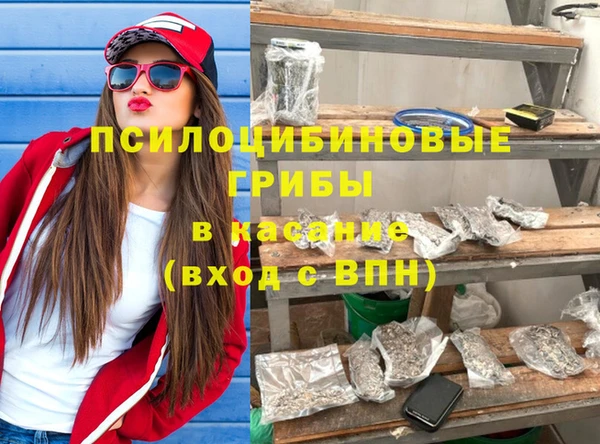 PSILOCYBIN Богородск