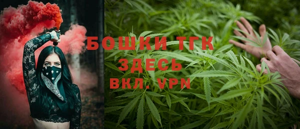 соль ск Бородино