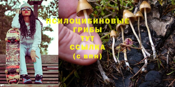 шишки Бугульма